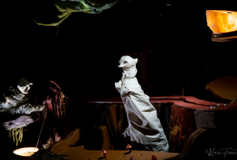 45, de la Taupinière