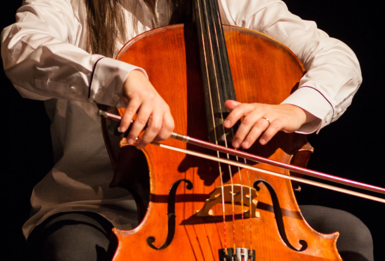 Rêverie musicale pour cordes en vibration