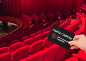 Offrez la culture en cadeau!